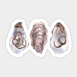 Oyster watercolor art Sticker